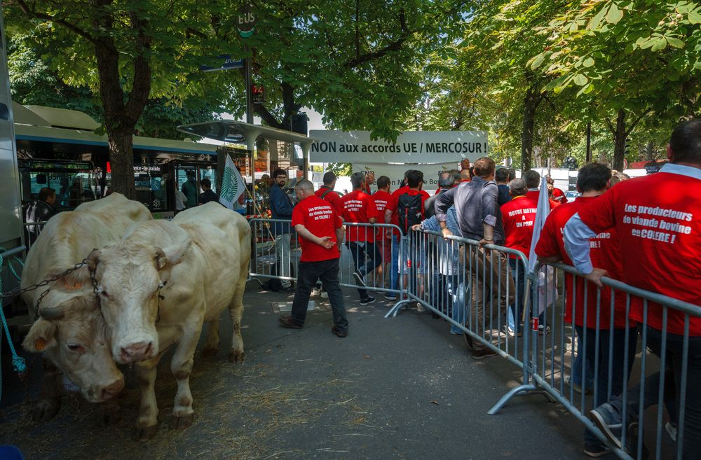 Agricultores y miembros de la Federación Nacional de Carne de Vacuno (Federation Nationale Bovine) se manifiestan cerca de la Embajada de Brasil en París el 9 de julio de 2025.