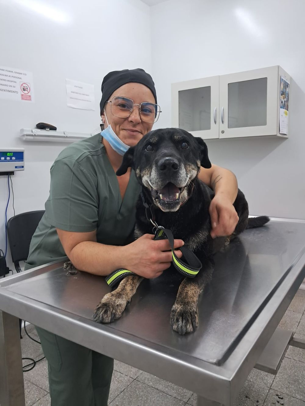 Policarpo, el primer perro con marcapasos en Uruguay