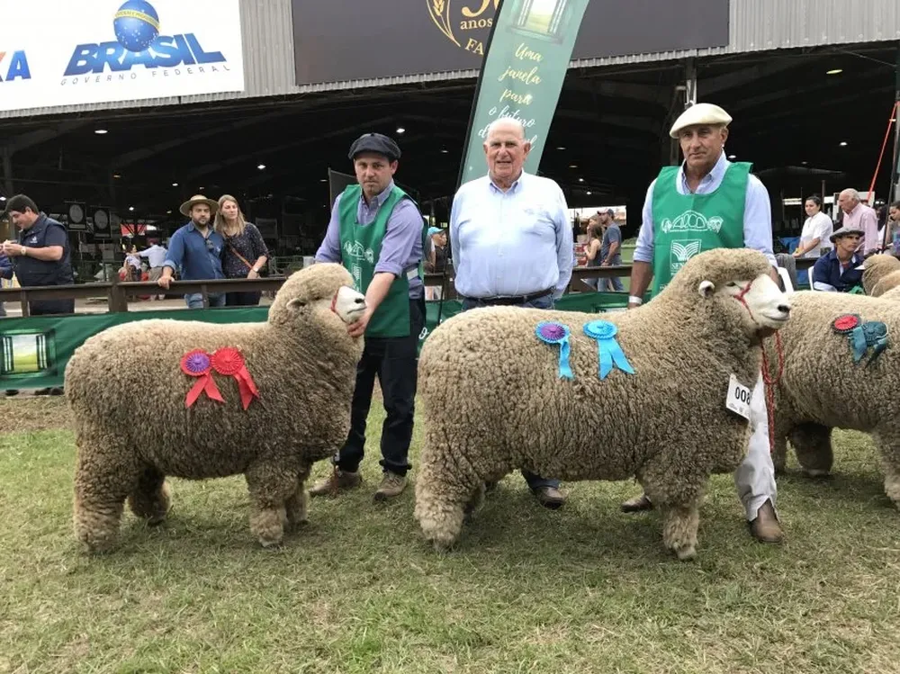 Mariano Rodríguez Bidegain, Jorge Rodríguez Britos y Fredy Perera.