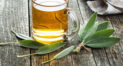 El Observador | tesalvia.jpg