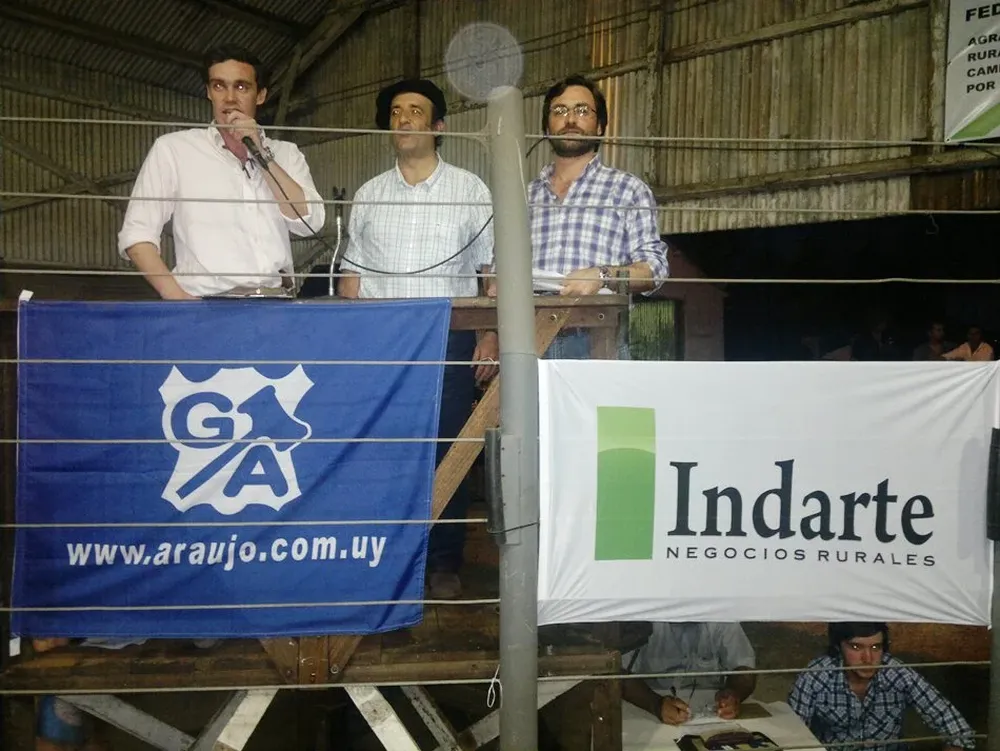 Gastón Araújo, Gonzalo Indarte y Fernando Indarte en el remate