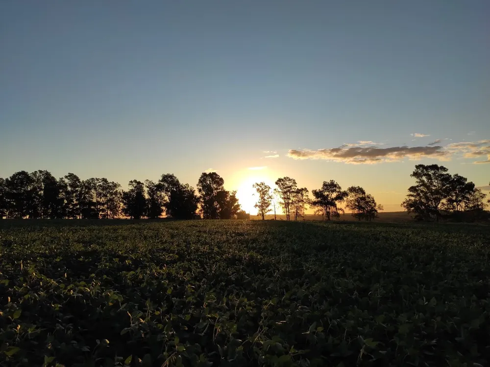 Estancias en Uruguay