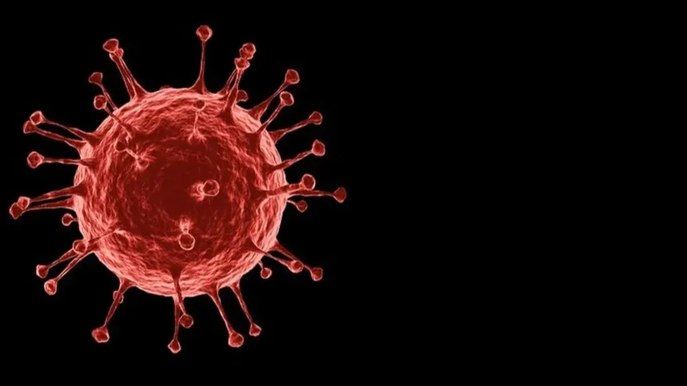 BA.2 es más contagiosa que la original BA.1, según un estudio danés
