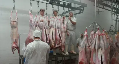 El Observador | 0002000516.webp