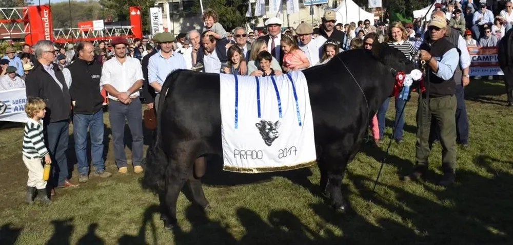 El remate se realizará el miércoles 11 desde la hora 15, en Fraile Muerto, con MegaAgro y Scotiabank