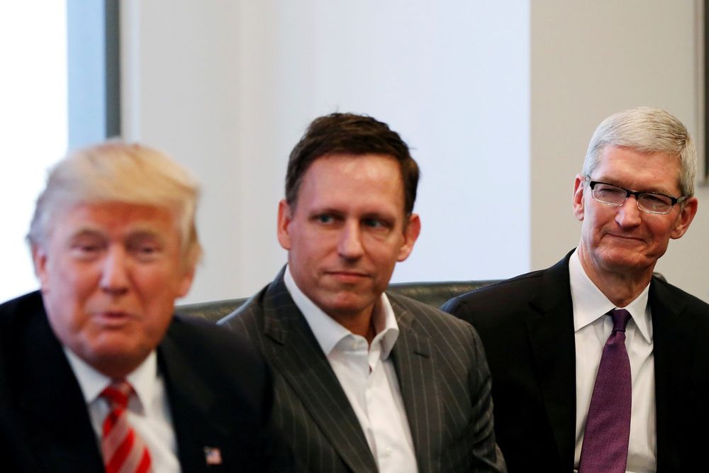 Musk tiene experiencia con aplicaciones financieras. Ayudó a fundar el banco en línea que luego se convirtió en PayPal, del excéntrico magnate Peter Thiel, sentado junto a Trump.