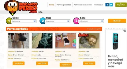 Sí luce la página de inicio de Buscandoperro.com