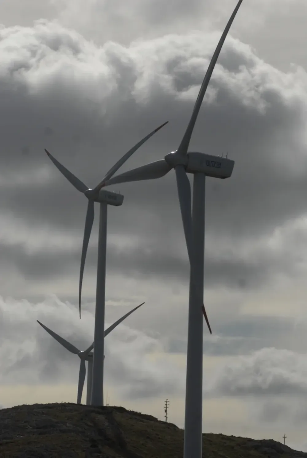 La formación de esta nueva industria repercutirá favorablemente en la generación de empleo