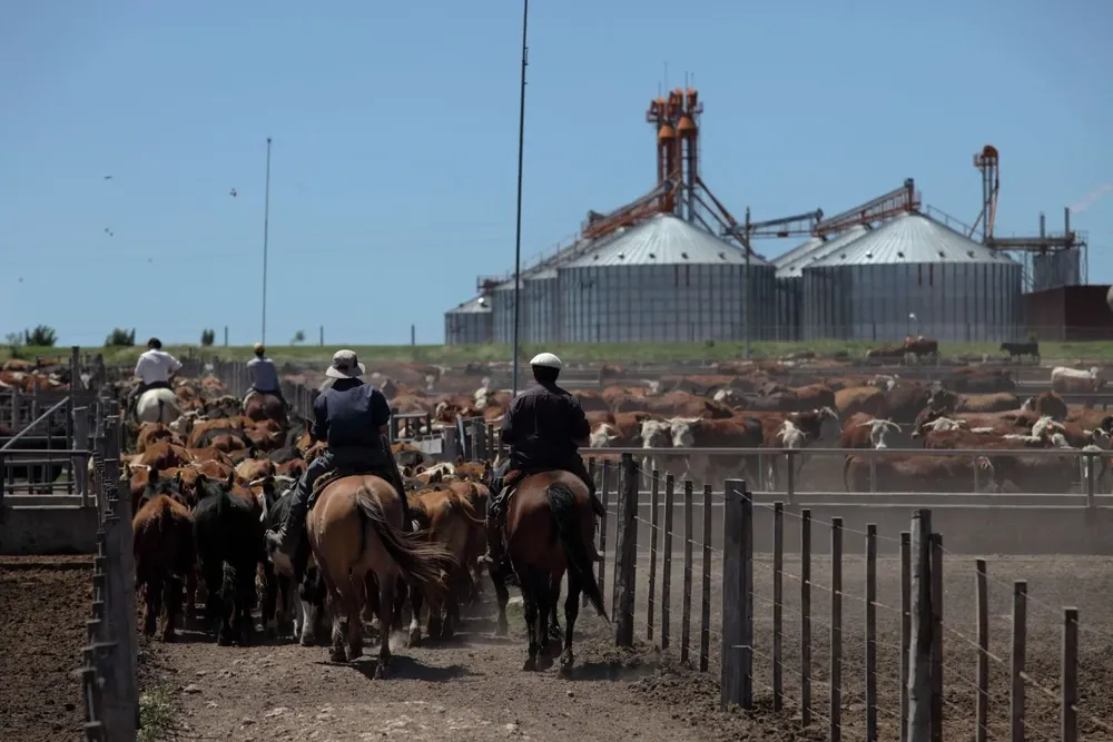 Se prevé que la presión fiscal caiga 6,4% con respecto al año pasado.