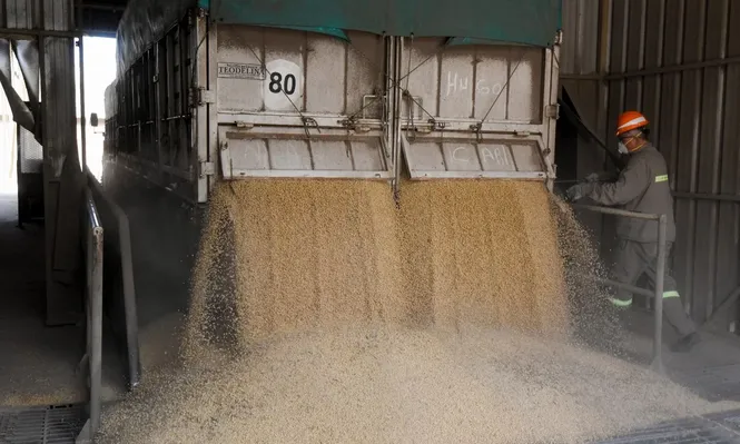 Descarga de soja en silos de Argentina.