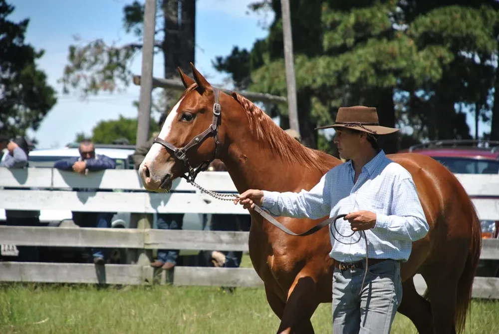 La Gran Campeona en la Expo Minas