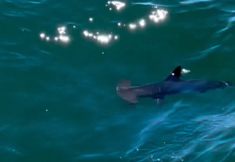 Captura de pantalla 2026-01-15 122202