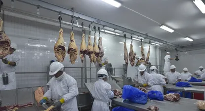 Las exportaciones cárnicas volvieron a tener un trimestre positivo.