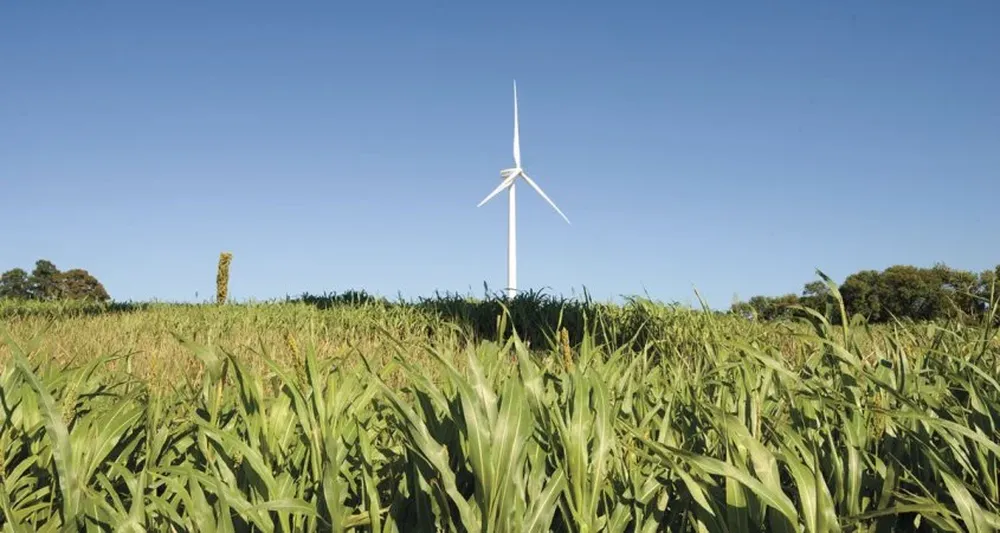 El alto costo de la energía es un problema para la producción agropecuaria