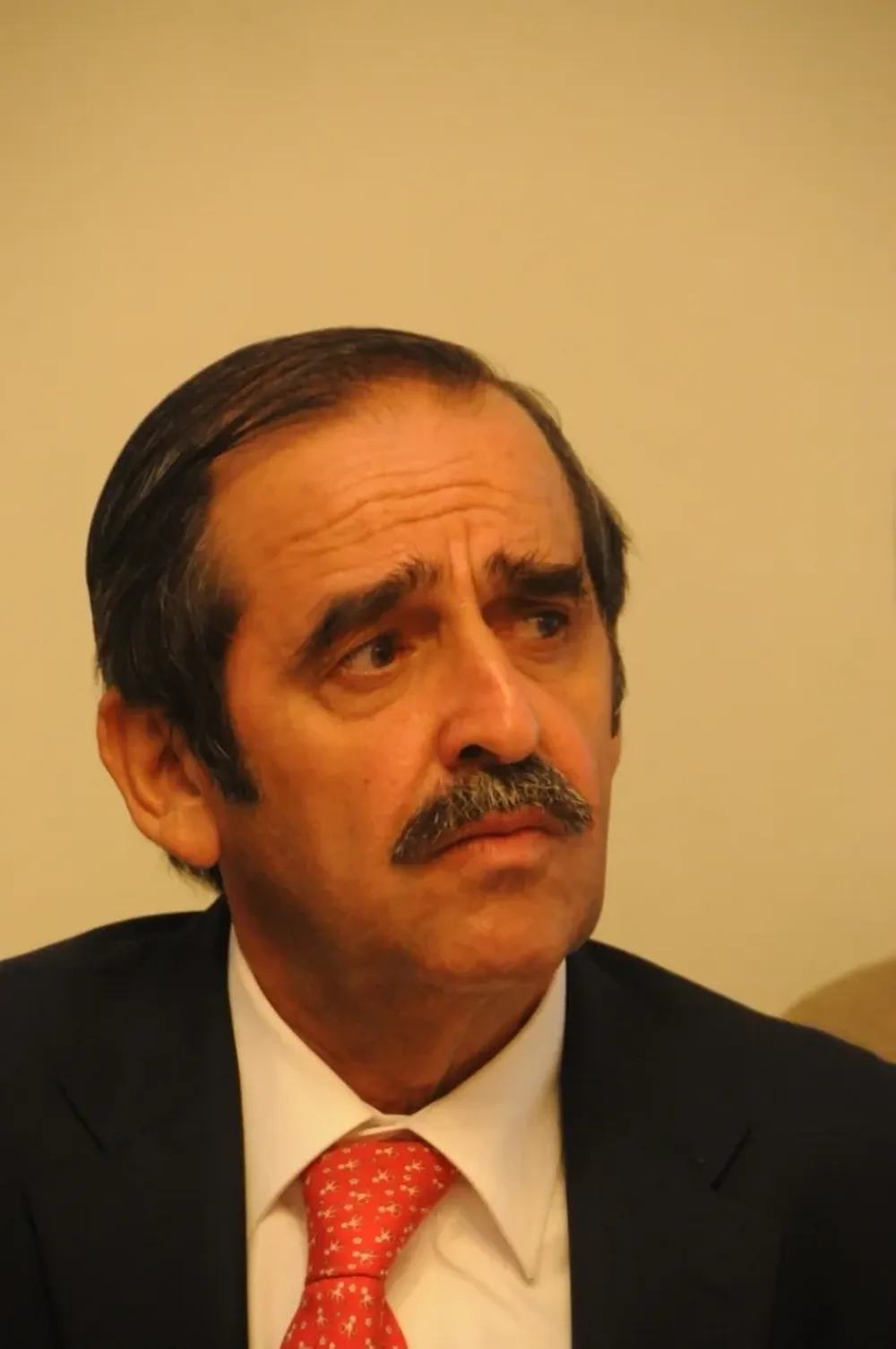 Pedro Otegui resaltó que Uruguay acciona junto a los grandes países productores laneros