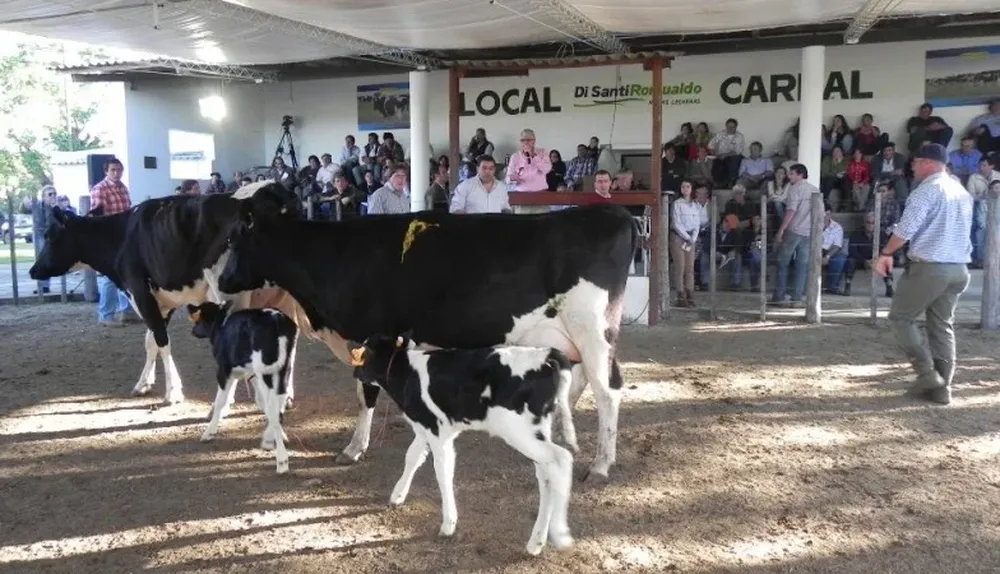 Además del ganado ofrecerán un gran parque de maquinaria y herramientas