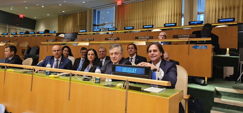 WhatsApp Image 2024-09-26 at 13.56.08.jpeg