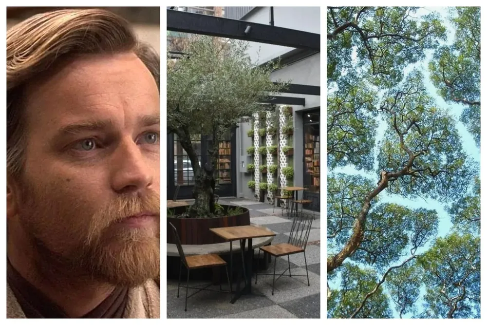 Series, descubrimientos y paseos, en el Picnic de hoy