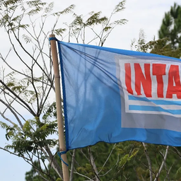 Reforma del INTA: los números que muestra el Gobierno para tomar el control y las resistencias que genera