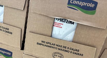 Lácteos: Conaprole lidera en las colocaciones externas y Brasil es el mercado principal.