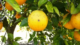 Sindicato levanta medidas en Caputto luego de acuerdo con la empresa