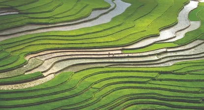 El Observador | 1586374356700.webp