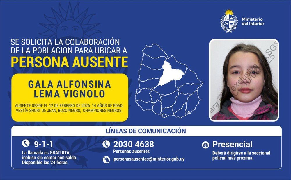 WhatsApp Image 2026-02-16 at 16.49.50