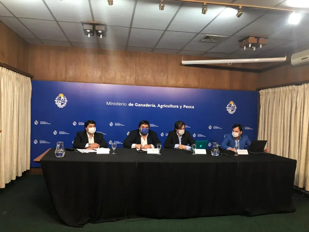 Pablo Lanz, Juan Ignacio Buffa, Nicolás Chiesa y Germán Rodríguez