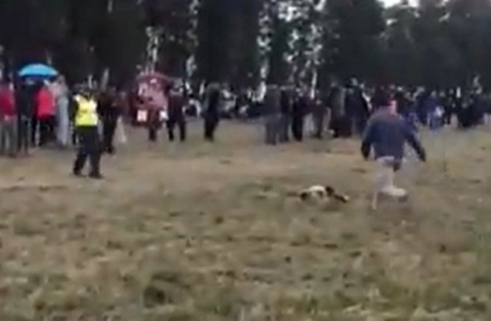 Niño caído después de ser atropellado por el caballo
