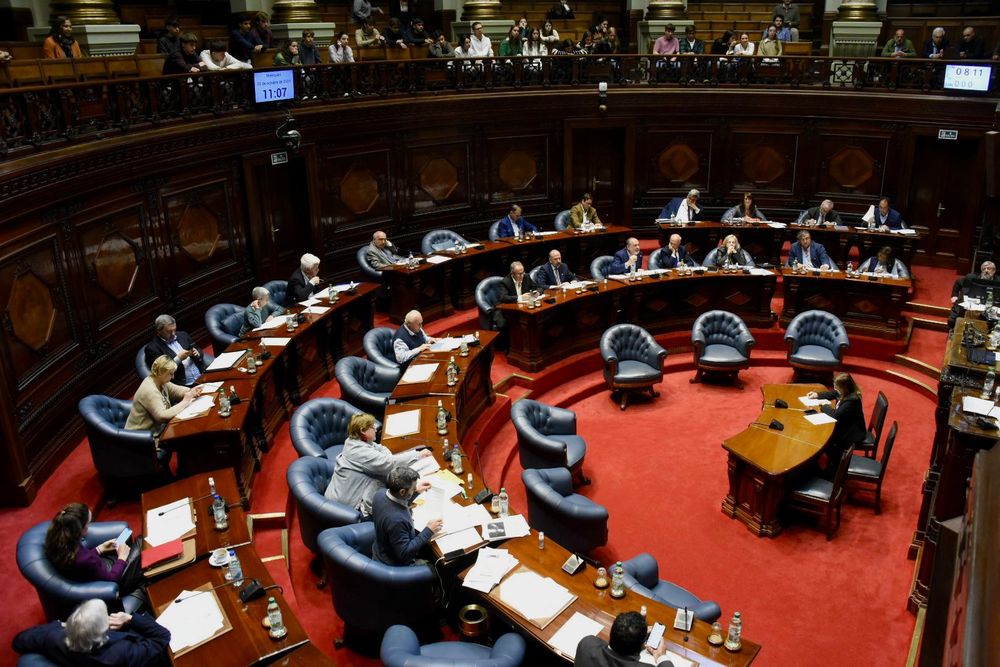 La Cámara de Senadores discute renuncia de Charles Carrera