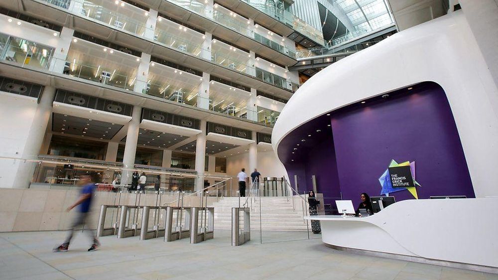 Científicos del Instituto Francis Crick de Londres intentan descifrar los misteriosos "desiertos de genes" del genoma.