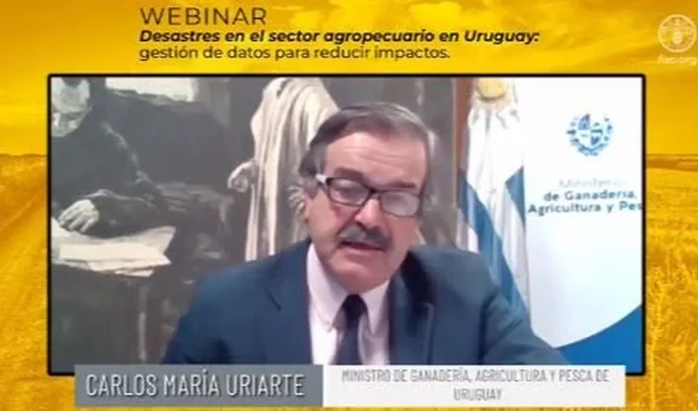 Carlos María Uriarte, durante su exposición en el webinar de FAO.