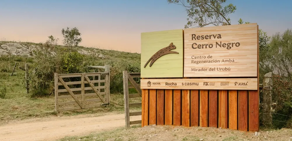 CASMU ANIVERSARIO NO USAR13.webp