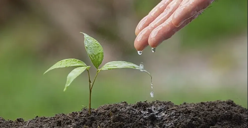La Universidad de California presenta el tema como el balance entre el medioambiente, la igualdad y la economía