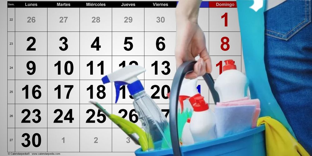 EMPLEADAS DOMÉSTICAS.jpg