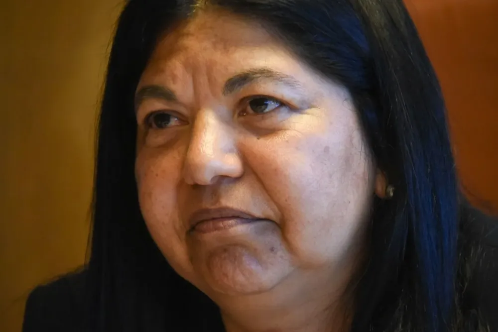 Elsa Capillera, diputada de Cabildo Abierto.