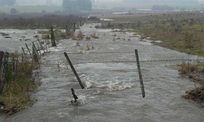 CAS, IICA y Banco Mundial trabajan en un seguro para cuando existan eventos climáticos graves (foto: inundaciones en campos de producción ganadera en Uruguay).