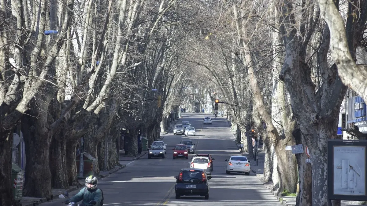 Tres de cada cuatro nombres de calles de Montevideo deberán ser de mujeres