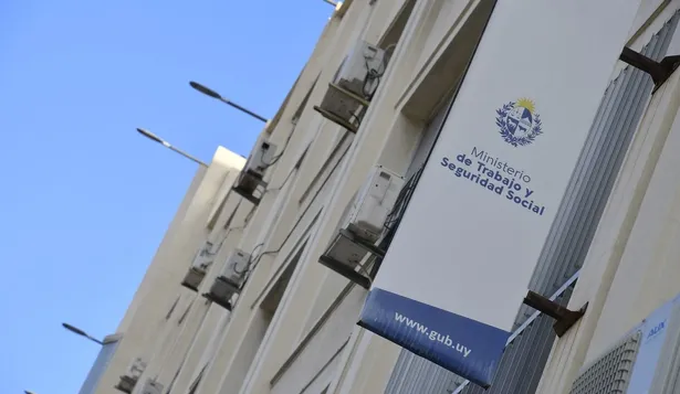 El programa del gobierno que ofrece 600 becas de trabajo pagas en 37 instituciones