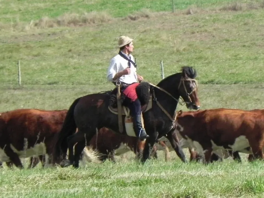 Federación Rural abordará con especial atención la política económica del país