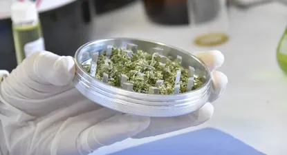 El Observador | _cds4791.webp