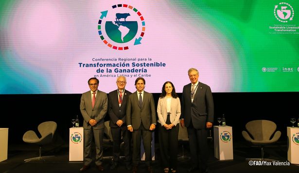 FAO fue, junto con el MGAP y el INAC, la entidad anfitriona en esta Primera Conferencia Regional de Ganadería Sostenible.