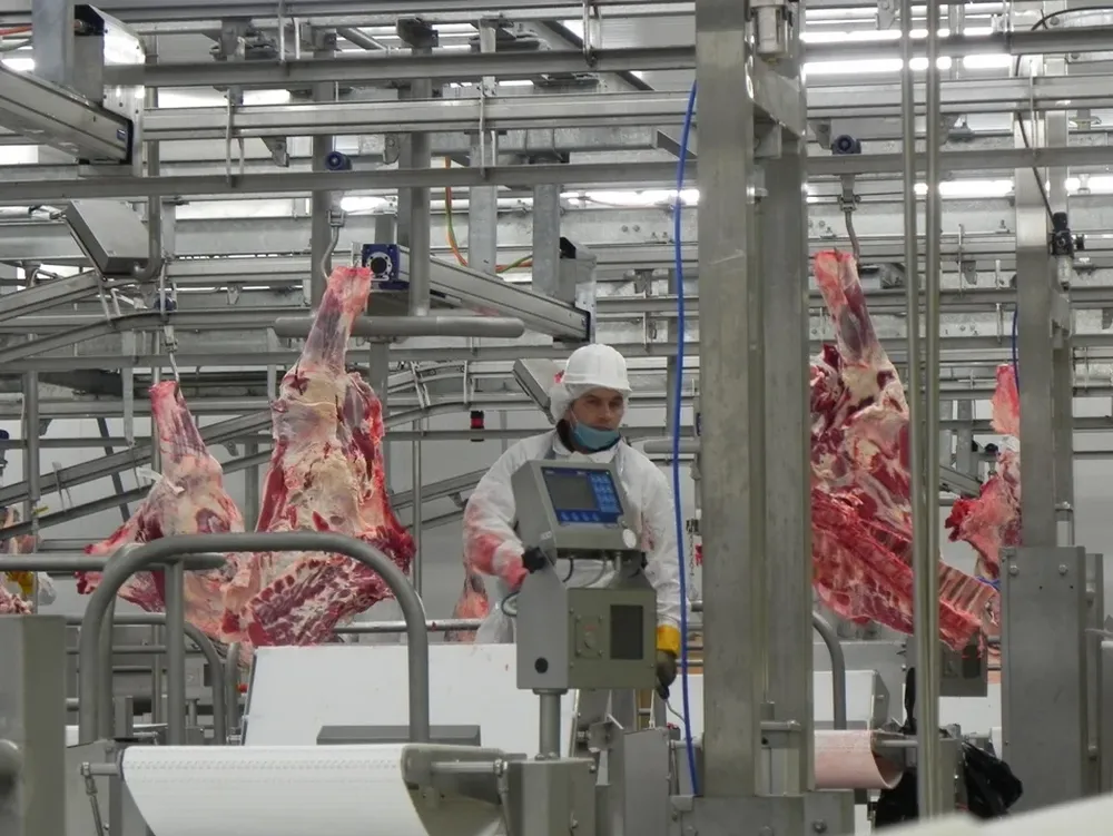 Siguen las medidas de lucha de los veterinarios oficiales