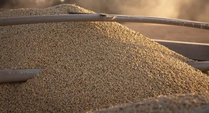 Exportaciones aumentaron 25% en abril