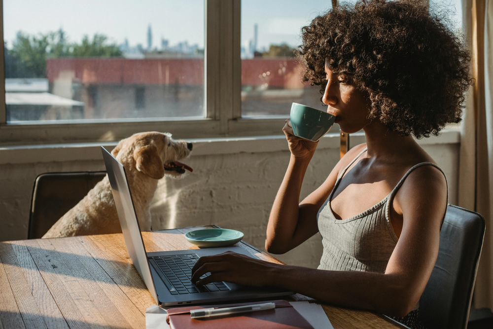 Cómo funciona el proceso de housesitting.