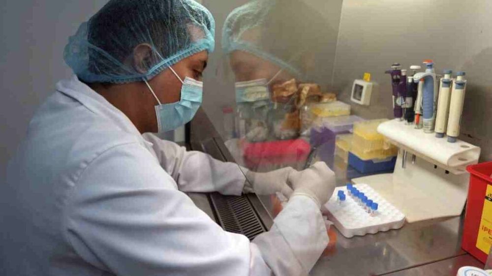 La OMS confirmó el primer caso de la gripe H5N2 en México. Investigan cómo contrajo el virus la víctima. (AFP).