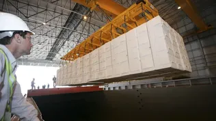 La celulosa camino a destronar reinado cárnico en exportación