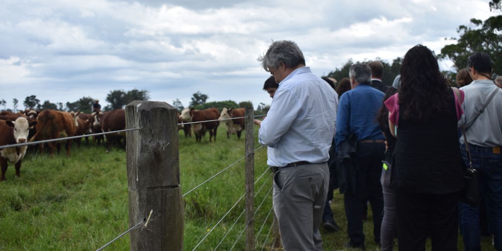Ganadería sostenible: Uruguay le muestra al mundo cómo produce, un diferencial de alto valor.