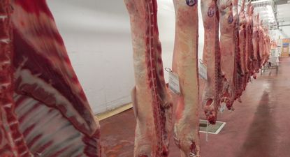 Frigorífico Bamidal reanudará su faena de lanares.