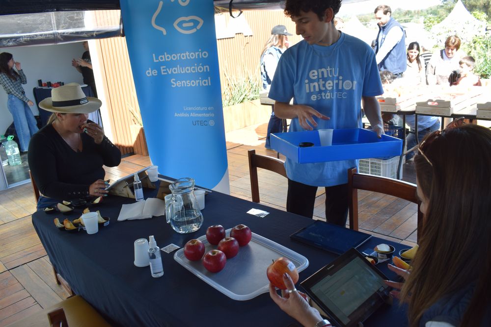 Evaluaci&oacute;n sensorial de manzanas.